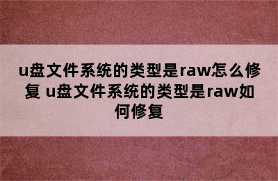 u盘文件系统的类型是raw怎么修复 u盘文件系统的类型是raw如何修复